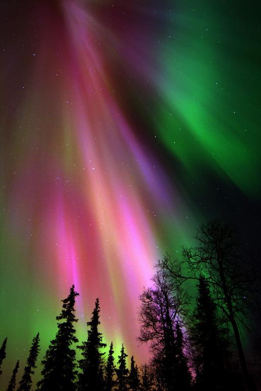 Lapland Northern Lights Hotel Ilveslinna Рануа Экстерьер фото