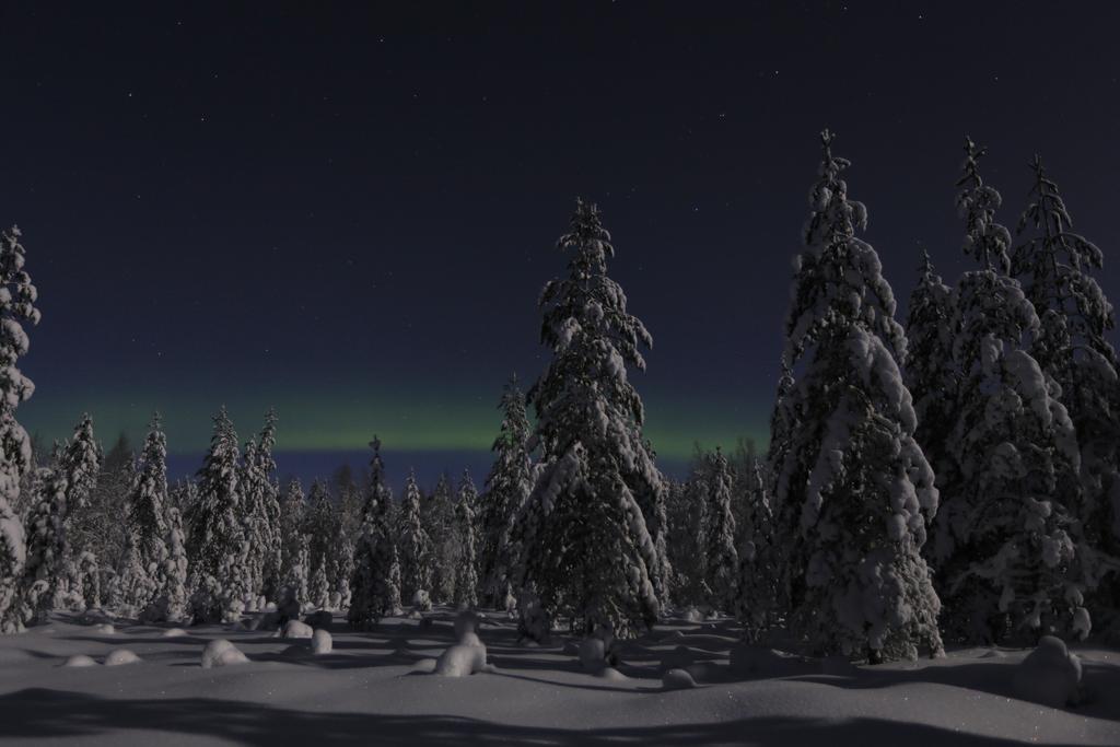 Lapland Northern Lights Hotel Ilveslinna Рануа Экстерьер фото