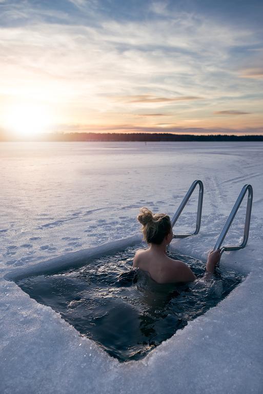 Lapland Northern Lights Hotel Ilveslinna Рануа Экстерьер фото
