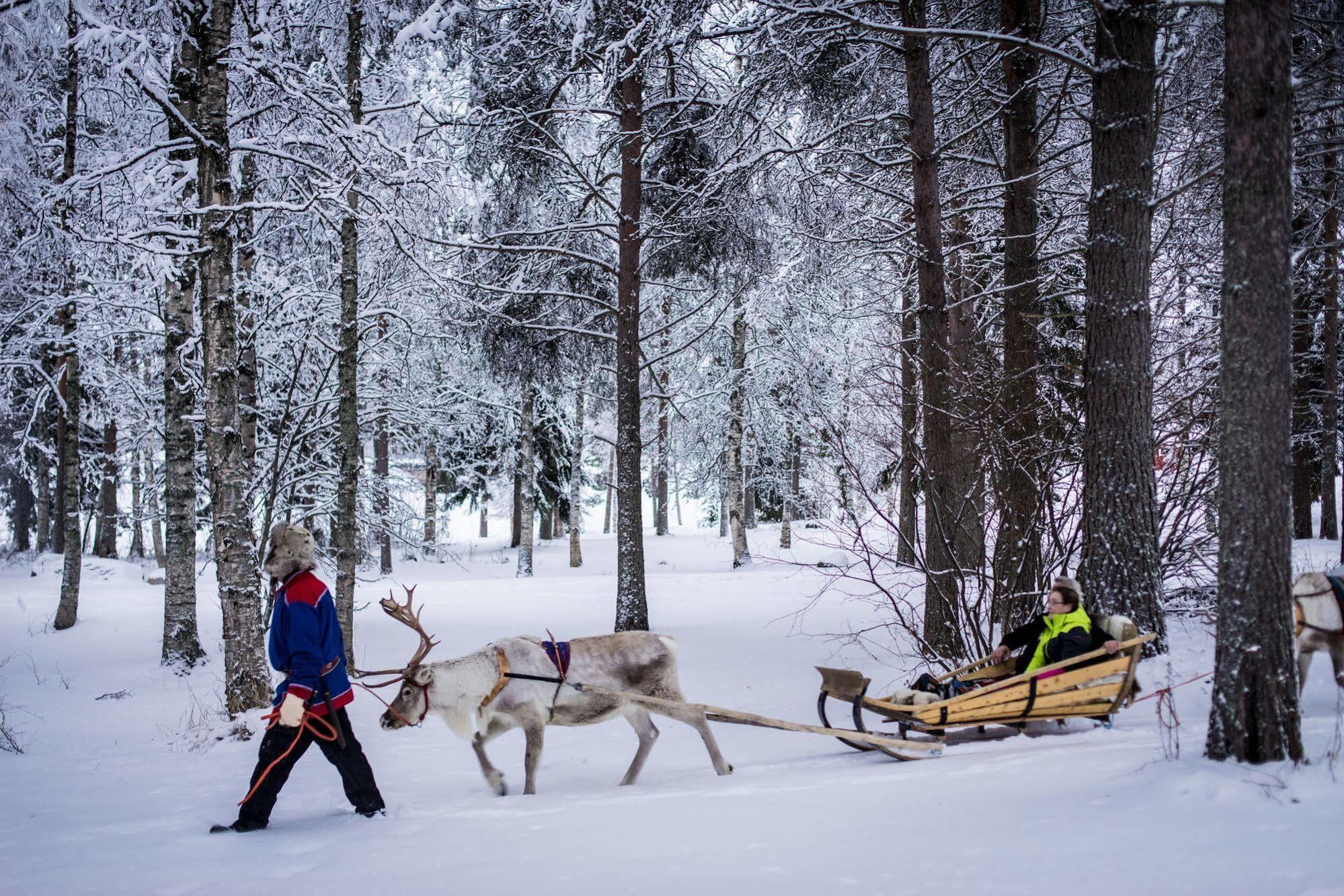 Lapland Northern Lights Hotel Ilveslinna Рануа Экстерьер фото